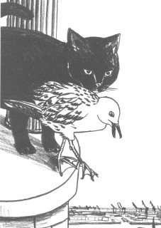 mouette-chat-cr-dit-illustration-jo-lle-jolivet-editions-m-taill-933